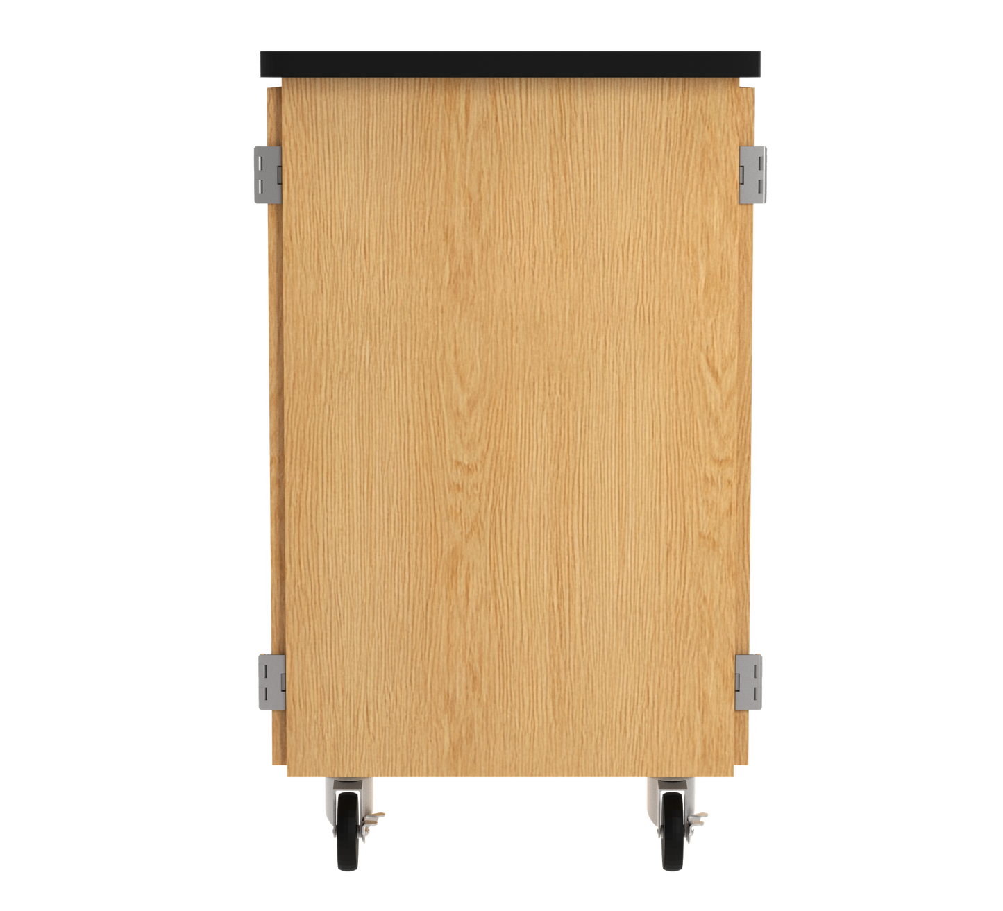 Perpetulab Microscope Storage Cabinet with Worksurface